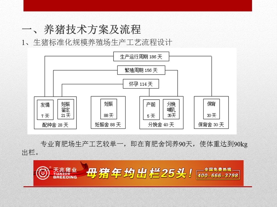 养猪生产流程及圈舍管理课件.pptx_第2页