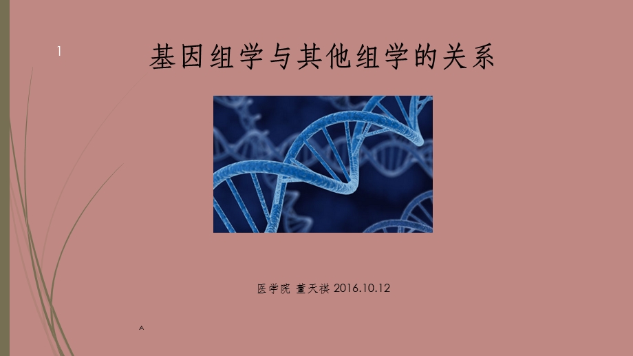 基因组学与其他组学的关系课件.ppt_第1页