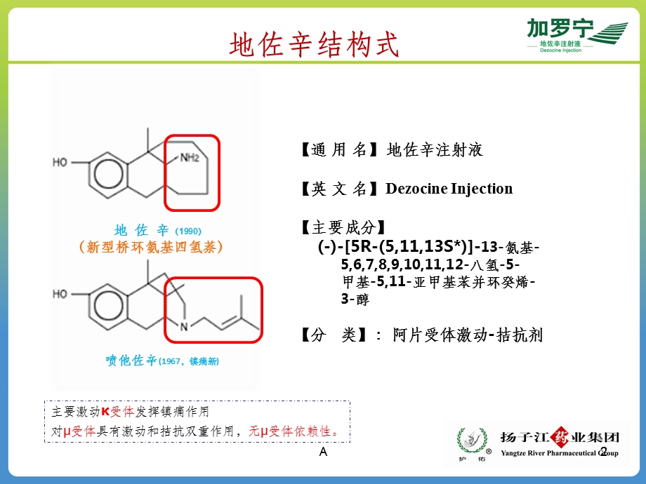 地佐辛注射液使用指南课件.ppt_第2页