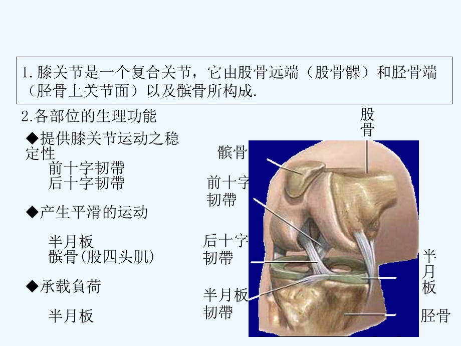 全膝关节置换术课件.ppt_第3页