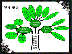 八年级生物下册总复习课件.pptx