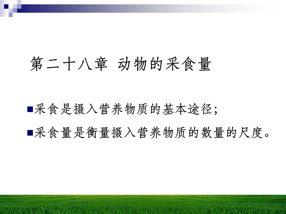 动物的采食量课件.ppt_第1页