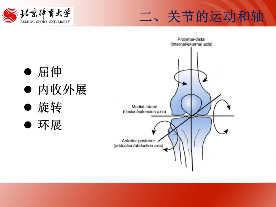 关节生物力学课件.pptx_第3页