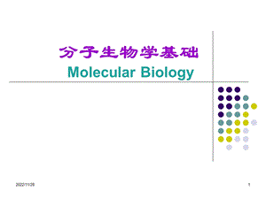 分子生物学基础ppt课件.ppt