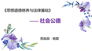 思想道德修养与法律基础社会公德说课课件.pptx