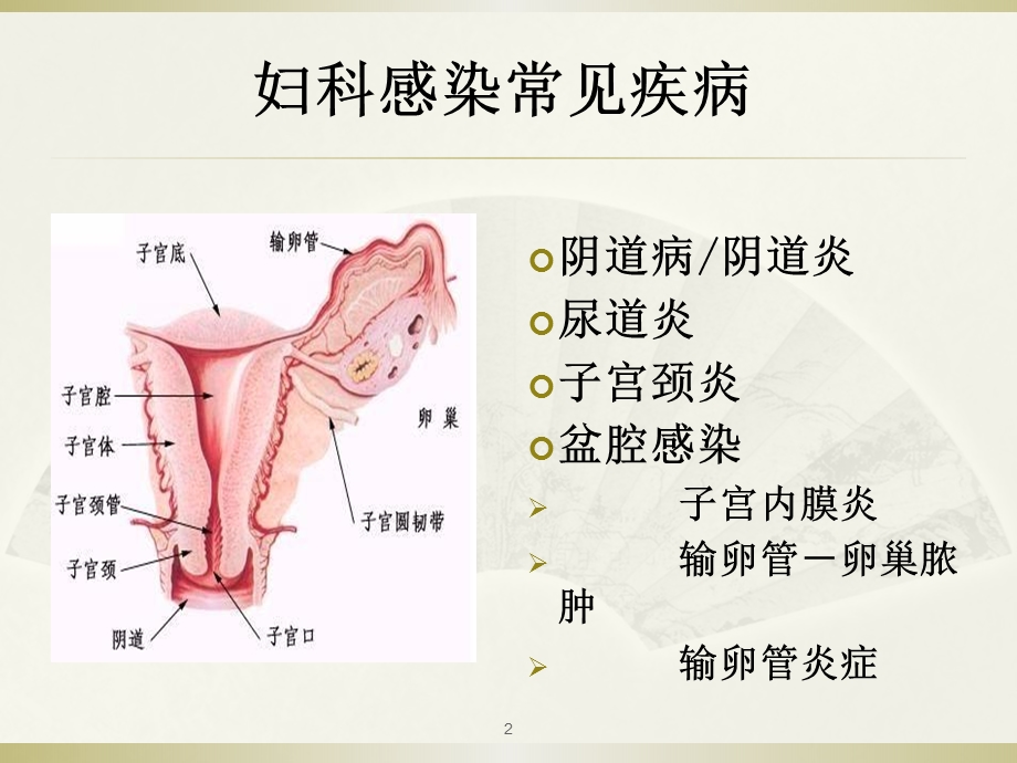 妇科感染常见病原菌及检测方法课件.ppt_第2页