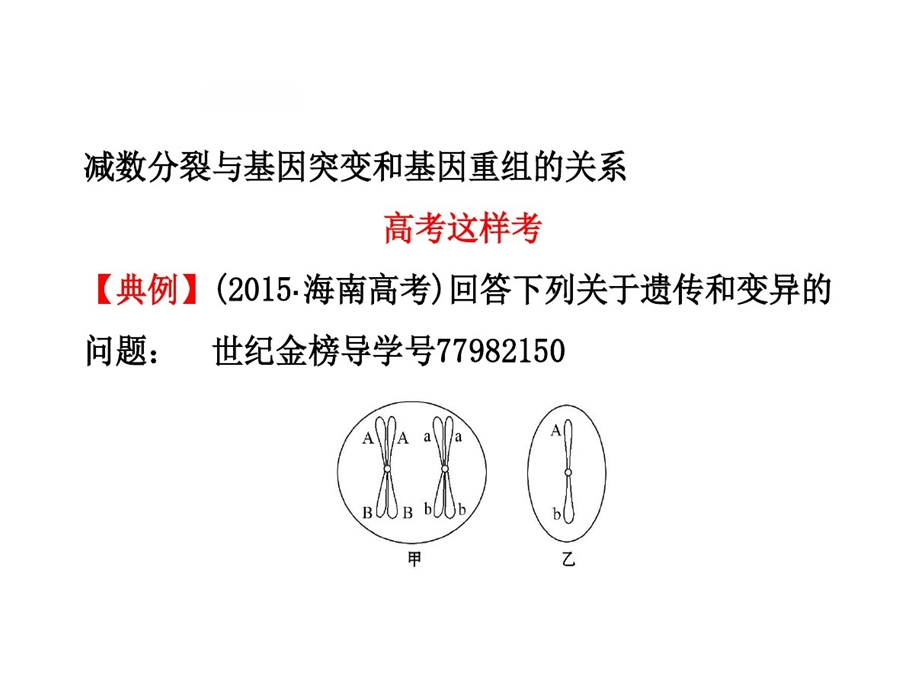 减数分裂与可遗传变异关系课件.ppt_第2页