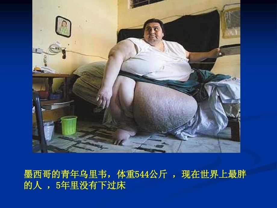 减肥与功能性食品课件.ppt_第3页