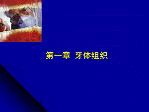 口组牙体组织ppt课件.ppt