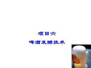 发酵与酿造技术6、啤酒发酵技术课件.ppt