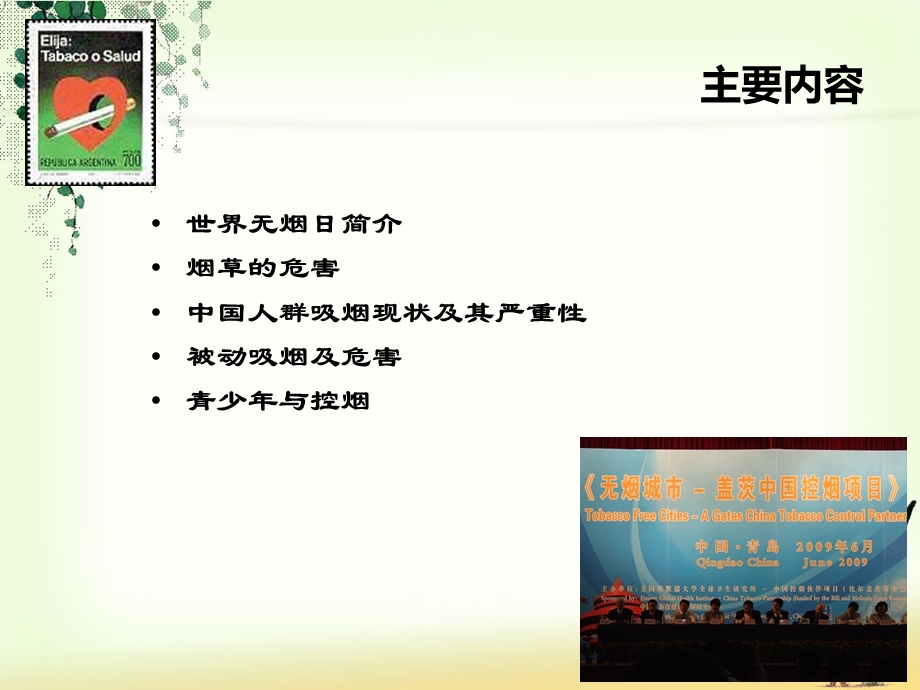 吸烟危害健康课件.ppt_第3页