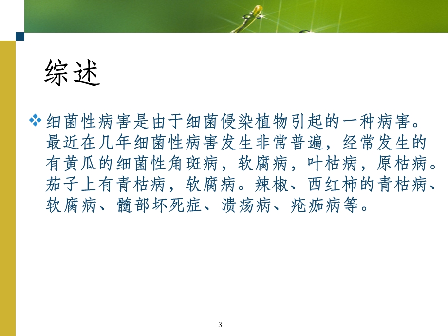 植物细菌性病害防治方法课件.ppt_第3页