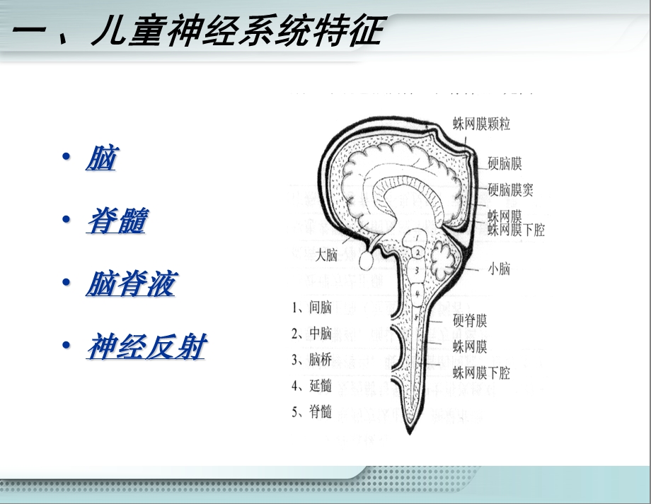 第十三章神经系统疾病患儿护理课件.ppt_第3页