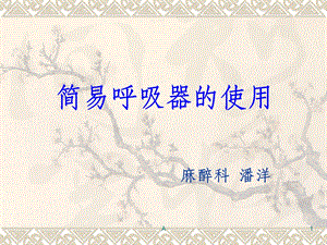 简易呼吸器课件.ppt