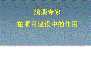 浅谈专家在项目建设中的作用课件.ppt