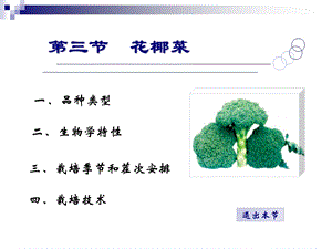 第三节花椰菜课件.ppt