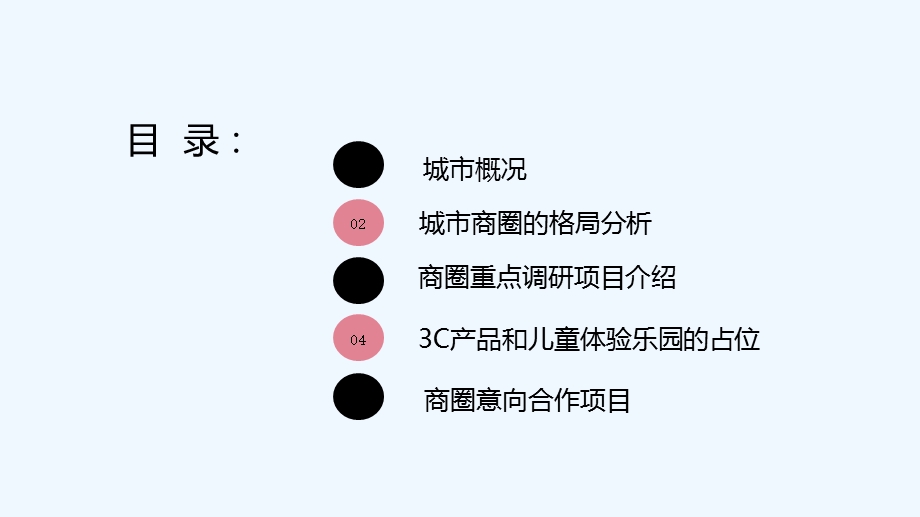 洛阳市商业市调报告ppt课件.ppt_第2页