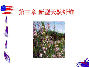 新型天然纤维课件.ppt