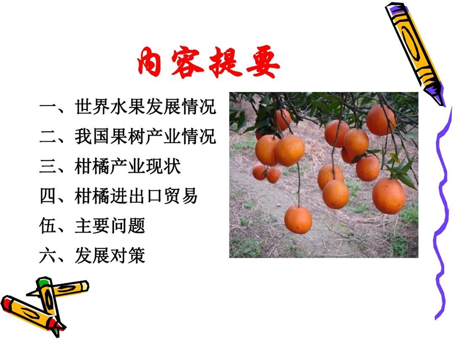 柑橘生产现状与发展趋势课件.ppt_第3页