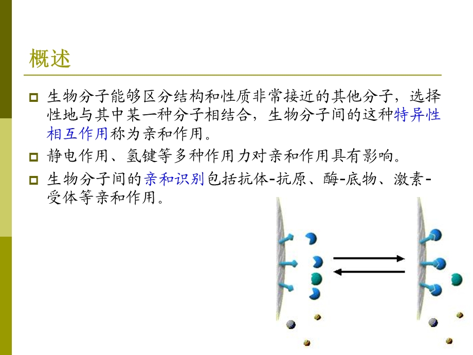 第十章亲和色谱课件.ppt_第1页