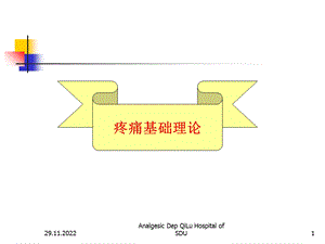 疼痛基础理论及诊疗原则课件.ppt