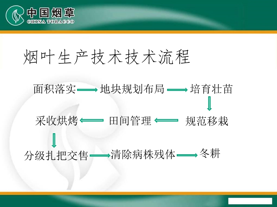 烟草工场化育苗技术及管理课件.ppt_第2页