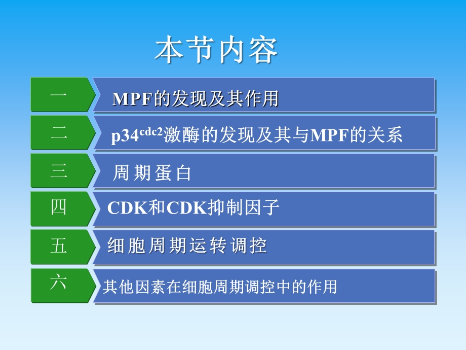 第十四章细胞增殖调控与癌细胞课件.ppt_第2页