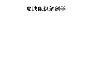 皮肤组织解剖学课件.ppt