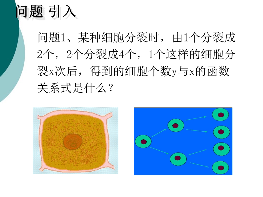 指数函数的图像及其性质课件.ppt_第2页