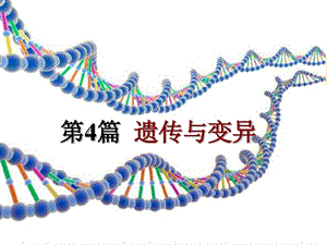 普通生物学第四篇遗传与变异第23和24章ppt课件.ppt