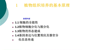 植物组织培养的基本原理课件.ppt