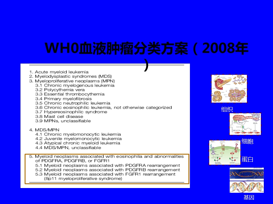 白血病分子诊断技术课件.ppt_第3页