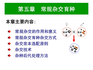 第五章杂交育种课件.ppt