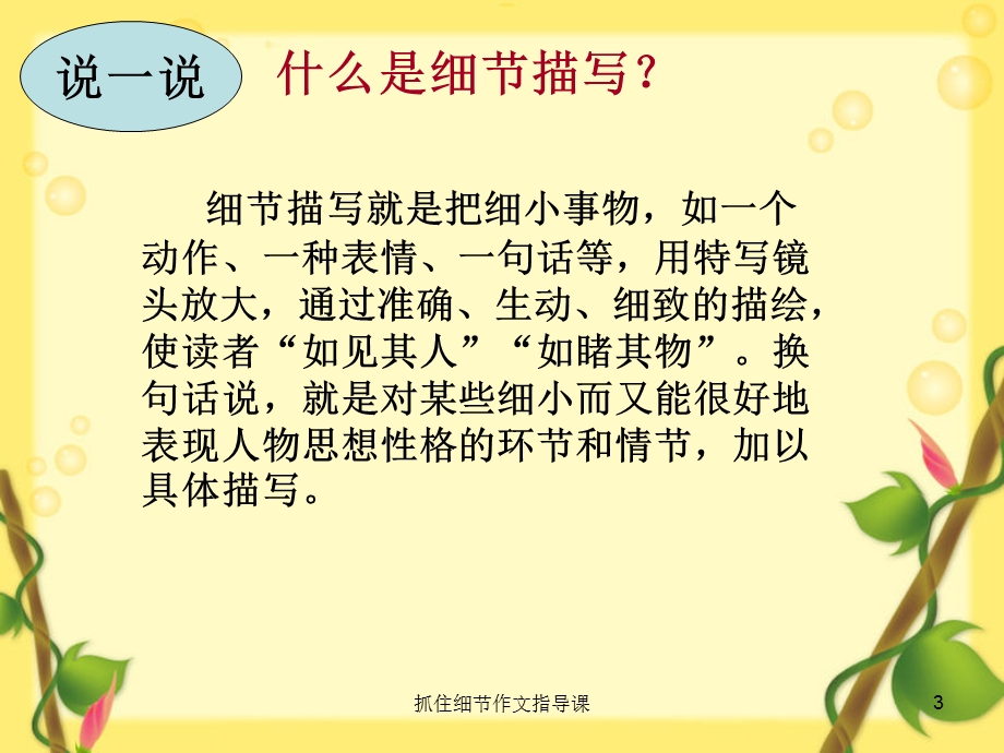 抓住细节作文指导课课件.ppt_第3页