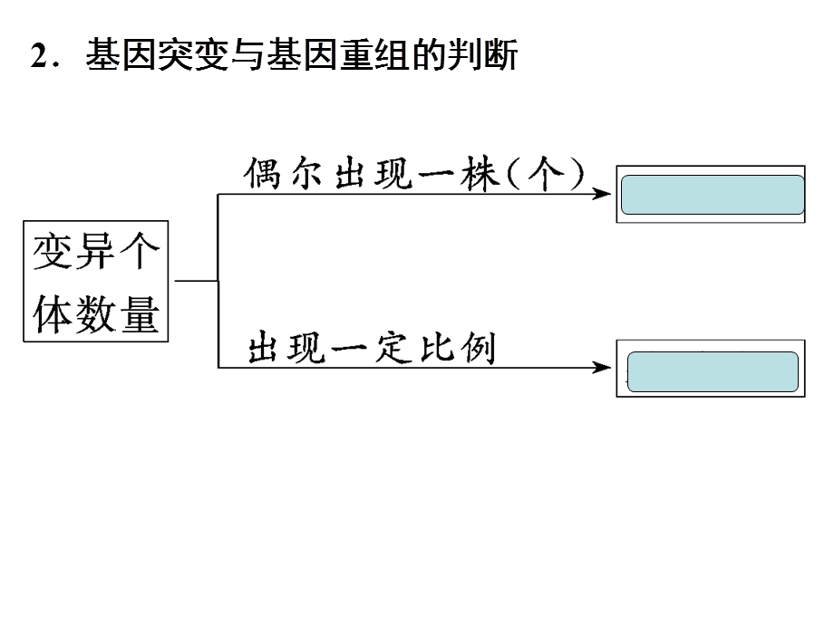 生物变异类型的判断与实验探究课件.ppt_第3页