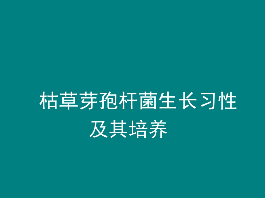 枯草芽孢杆菌习性及其培养课件.ppt_第1页