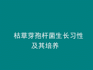 枯草芽孢杆菌习性及其培养课件.ppt