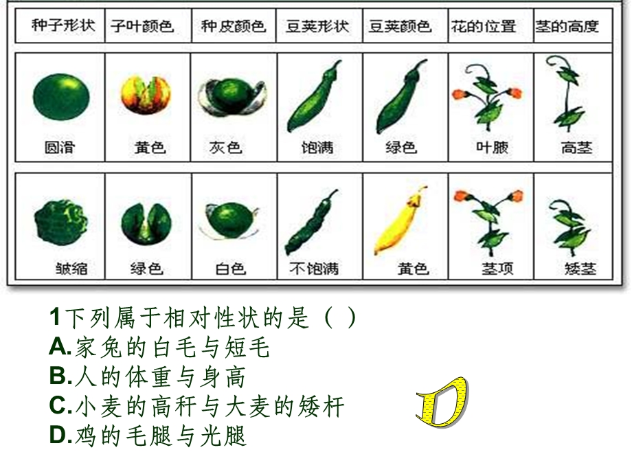 生物必修二总复习课件.ppt_第3页