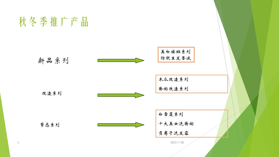 护肤品推广策划方案课件.ppt_第2页