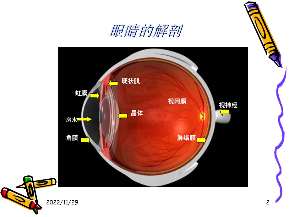 眼科基础知识知识讲解课件.ppt_第2页