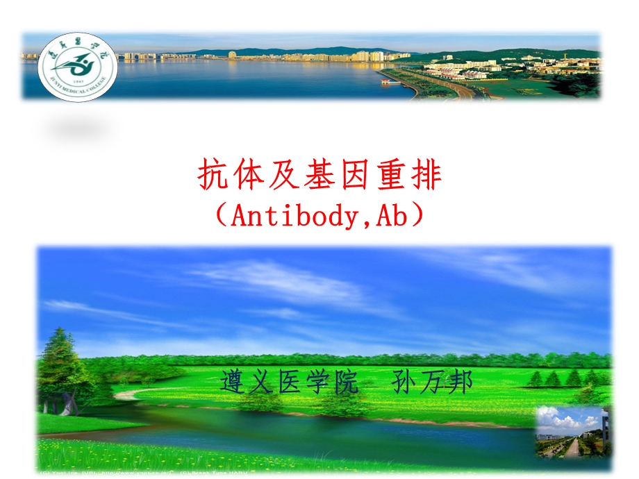 抗体及基因重排课件.ppt_第1页