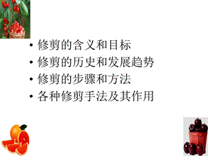 果树修剪调节生理实习课件.ppt