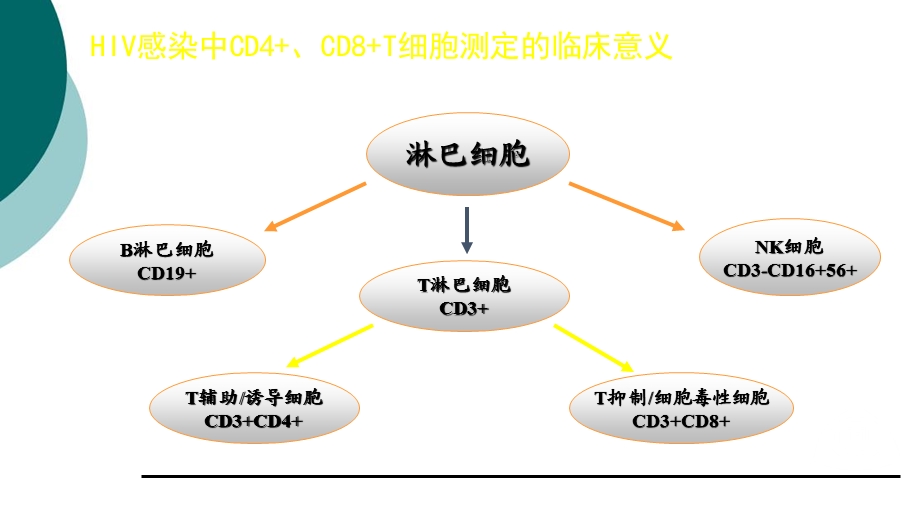 流式细胞仪原理及应用、CD4绝对计数的原理、方法课件.ppt_第2页