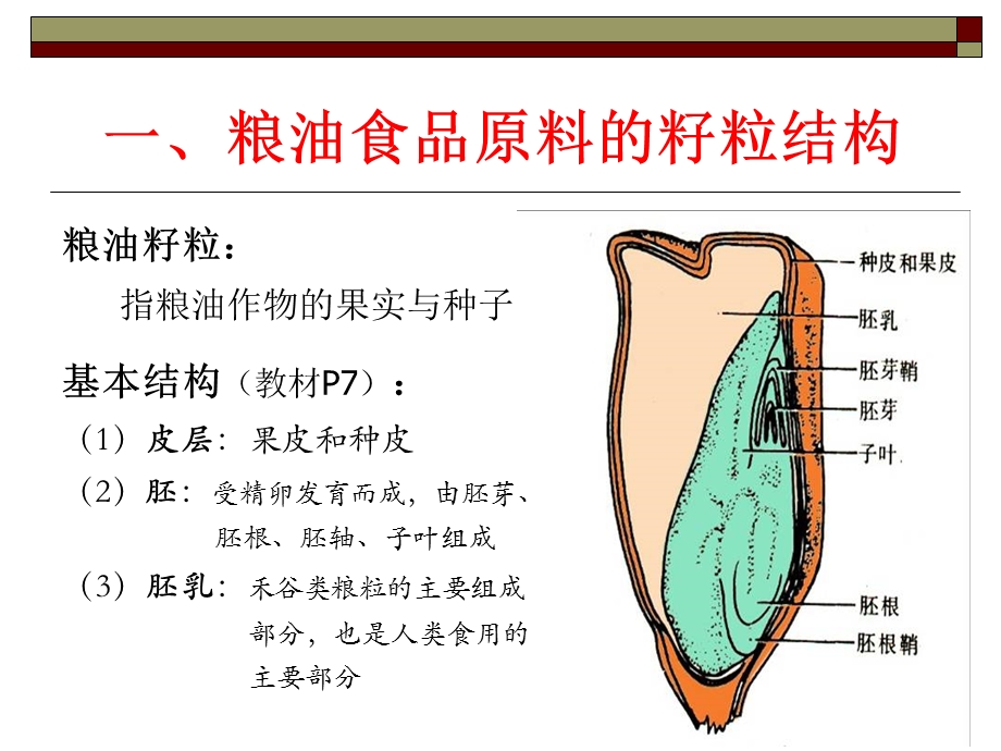 第一章粮油食品原料课件.ppt_第2页