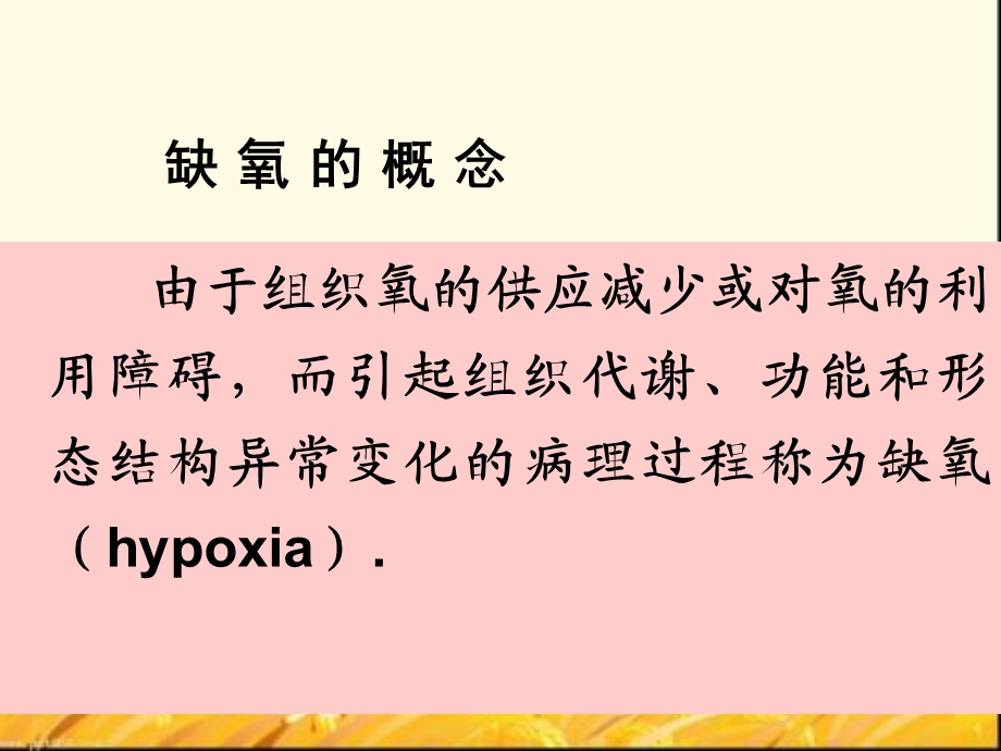 病理生理学(缺氧)课件.ppt_第3页