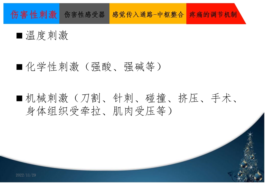 疼痛的机制课件.ppt_第3页