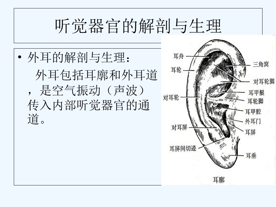 第三章听觉障碍课件.ppt_第2页