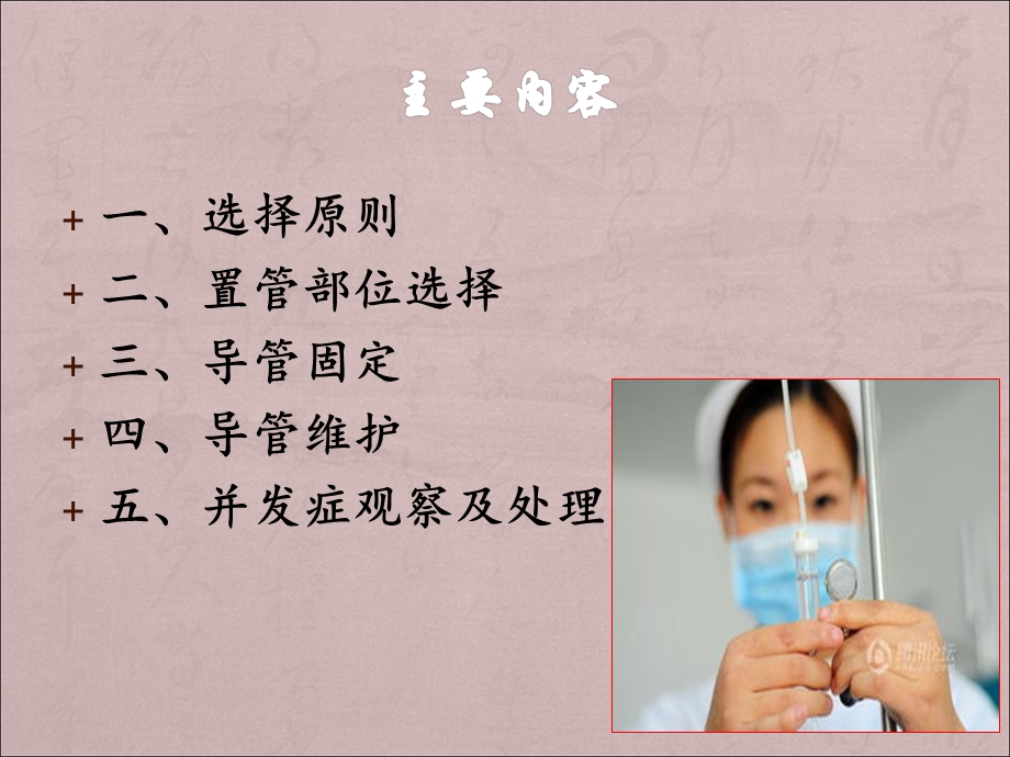 留置针日常维护与管理课件.ppt_第2页