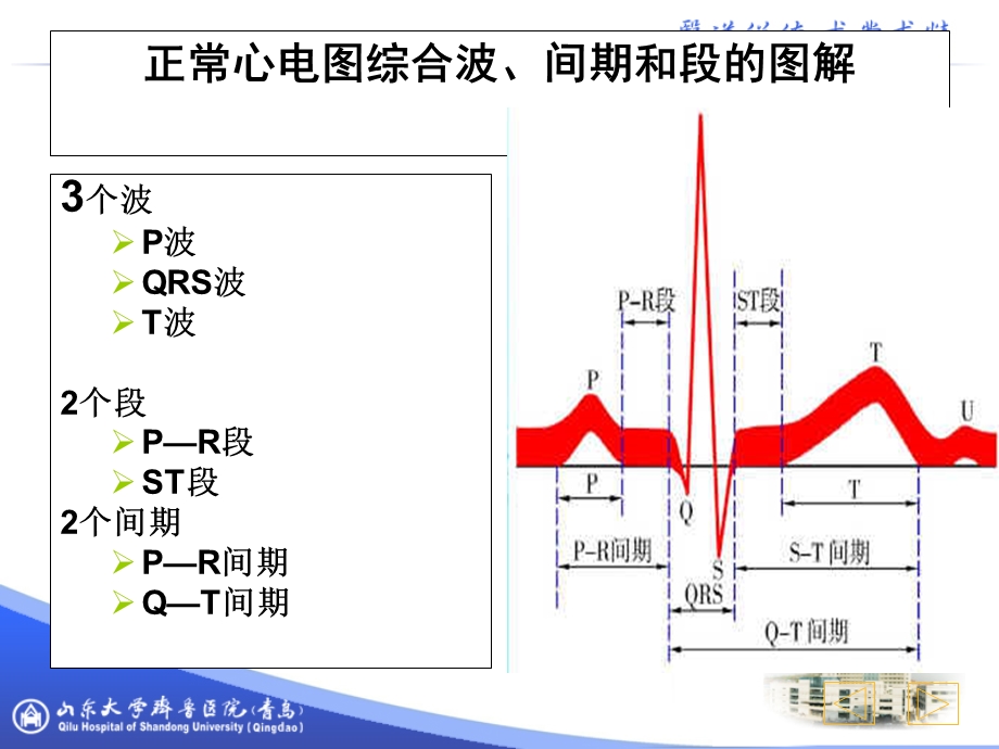 新护士讲解心电图课件.ppt_第2页