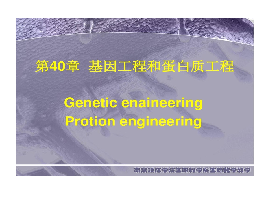 生物化学第40章基因工程和蛋白质工程课件.ppt_第1页